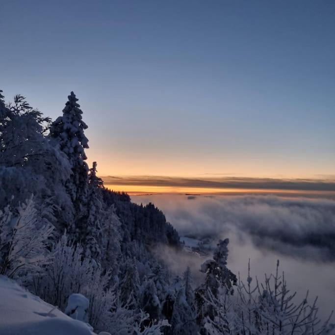 Le Montagnard Daire Mijoux Dış mekan fotoğraf